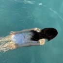 수풀산장 이미지