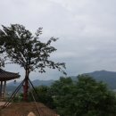 강변애 이미지