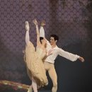 오데트뷰티 | <Ballet,누레예프 갈라(Nureyev&Friends:A Gala Tribute)>공연실황관람후기.