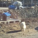 충북주유소 | 🌳충북 캠핑ㅣ단양 도담캠핑장 명당 힐링존 H4 사이트 후기 [🎄크리스마스 캠핑🎄-2편]