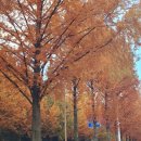 운동장길(정하동) 이미지