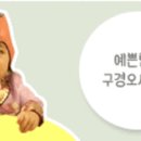 꼬숑 이미지