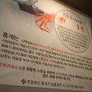 속초우리홍게랑 이미지