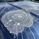 광진광택 | 테슬라 모델Y 주니퍼 스텔스 그레이 석회수 테러 복원기, 광진구 중곡동 리코 디테일링 보험 시공 후기