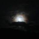 사촌해수욕장야영장 이미지