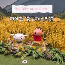 피아크 | [부산 실내 가볼만한 곳] 부산 영도 실내 전시 추천 "피아크 짱구 페스티벌" 내돈내산 후기
