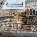 두타동물병원 이미지