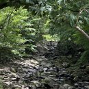 소소산식벌교식당 이미지