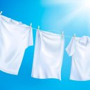 레몬세탁 이미지