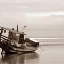 잠시 쉬어 이미지