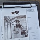 소리소길 | 제주 소길리 이효리집이였던! &#39;소길별하&#39; 방문 후기