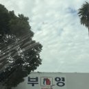 제주Jeju섬 | 중문 스위트 호텔 제주(The sweet hotel jeju) 리조트 숙박 후기 수영장 이용 후기(+온수풀, 조식 메뉴...