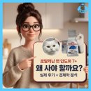 페르시안캣 | 로얄캐닌 캣 인도어 7+ 실제 후기와 경제학 분석