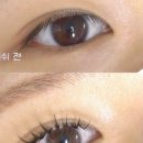 씨엘로 래쉬