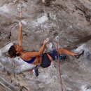 더 매드짐 이미지