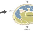 클린짐 휘트니스 이미지
