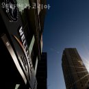 벨라 코리아 이미지