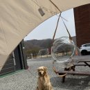 반하면 오토캠핑장 이미지