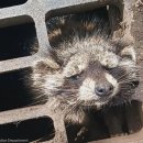 리베라세탁 이미지