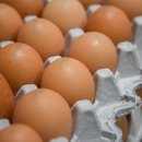 초원농원2 이미지