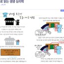 열다섯번째--그림으로 읽는 생생 심리학 이미지