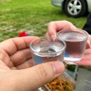 대저캠핑장 이미지