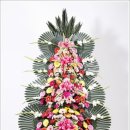 전북화원 이미지