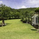 백화쉼터 이미지