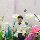 방림1동꽃마을작은도서관 | 방림1동 꽃마을 작은도서관 실크플라워