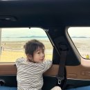 동막3 1소교량 | 강화도 동막해변 펠리세이드로 첫 차박하기 할만한데?차박 자리 좌표