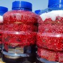 회석농장 이미지