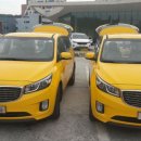 보람관광 이미지