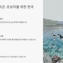 아이바이피시