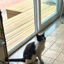 디사이드온 이미지