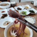 독천 낙지명소1 | 영암 독천 낙지거리 맛집 부드러운 낙지연포탕 맛있는 독천식당