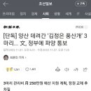 😡화력요청😡 😡화력요청 단독] 양산 데려간 ‘김정은 풍산개’ 3마리... 文, 정부에 파양 통보 😡화력요청😡 😡화력요청 이미지