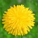 나눔화로숯불구이 이미지