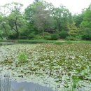 광릉수목원 이미지