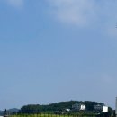 바다튀김 | 태안 만세튀김 포장 리얼 후기! 바다 보며 라면이랑 먹으니 꿀맛