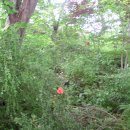 홍류동 화장실 이미지