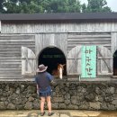 몽케당 | 볼만한곳 제주목장카페 밭디 제주 함덕해수욕장 제주 함덕숙소 몽케당 제주 함덕맛집 칠돈가 해녀김밥 본점