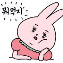 홍게 인생라면 이미지