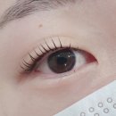 선프라자오피스텔 | 해운대속눈썹펌 잘하는곳 코코앤뷰티 속눈썹펌에서 수분가득 자연컬 시술받고 만족했던 후기