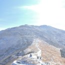 영남농장 이미지