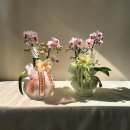 (주)고객사랑마트 | 부산 상견례 호접란 해운대 파라다이스 호텔 남풍, 아미산 중식당, 한우반상 배송 후기