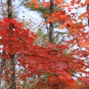 자미원역 이미지