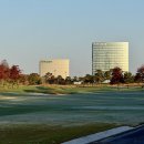 베스트아시아 | 베어즈베스트 청라 미국-아시아 코스 라운드 후기 (2025.11.11)