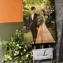 플러스엘 | [대전 웨딩촬영] 웨딩 컴퍼니엘 계약 솔직후기 (feat. 그레이스케일, 클라라드레스)