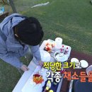 가비장