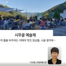 시무골 이미지